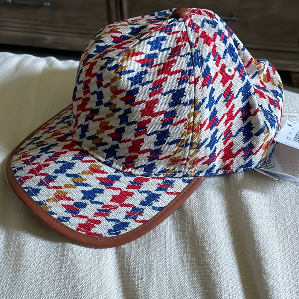 Disney Edition Coach Hat